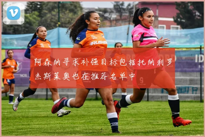 阿森纳寻求补强目标包括托纳利罗杰斯莱奥也在推荐名单中