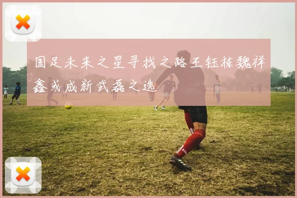 国足未来之星寻找之路王钰栋魏祥鑫或成新武磊之选
